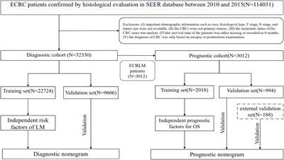 Nomogram for predicting occurrence and prognosis of liver metastasis in elderly colorectal cancer patients: a population-based study